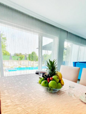 Villa Kavak Holland